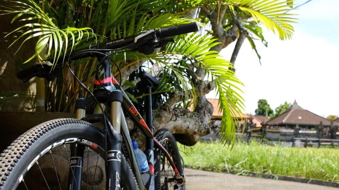 Mountain bike in shade Bali