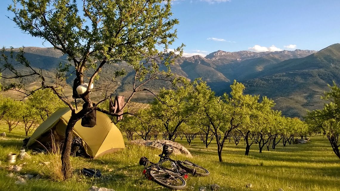 Bicycle and tent in orchard