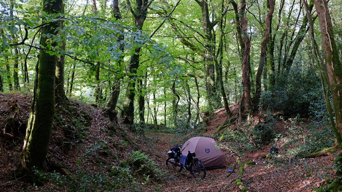 Tent in French woods
